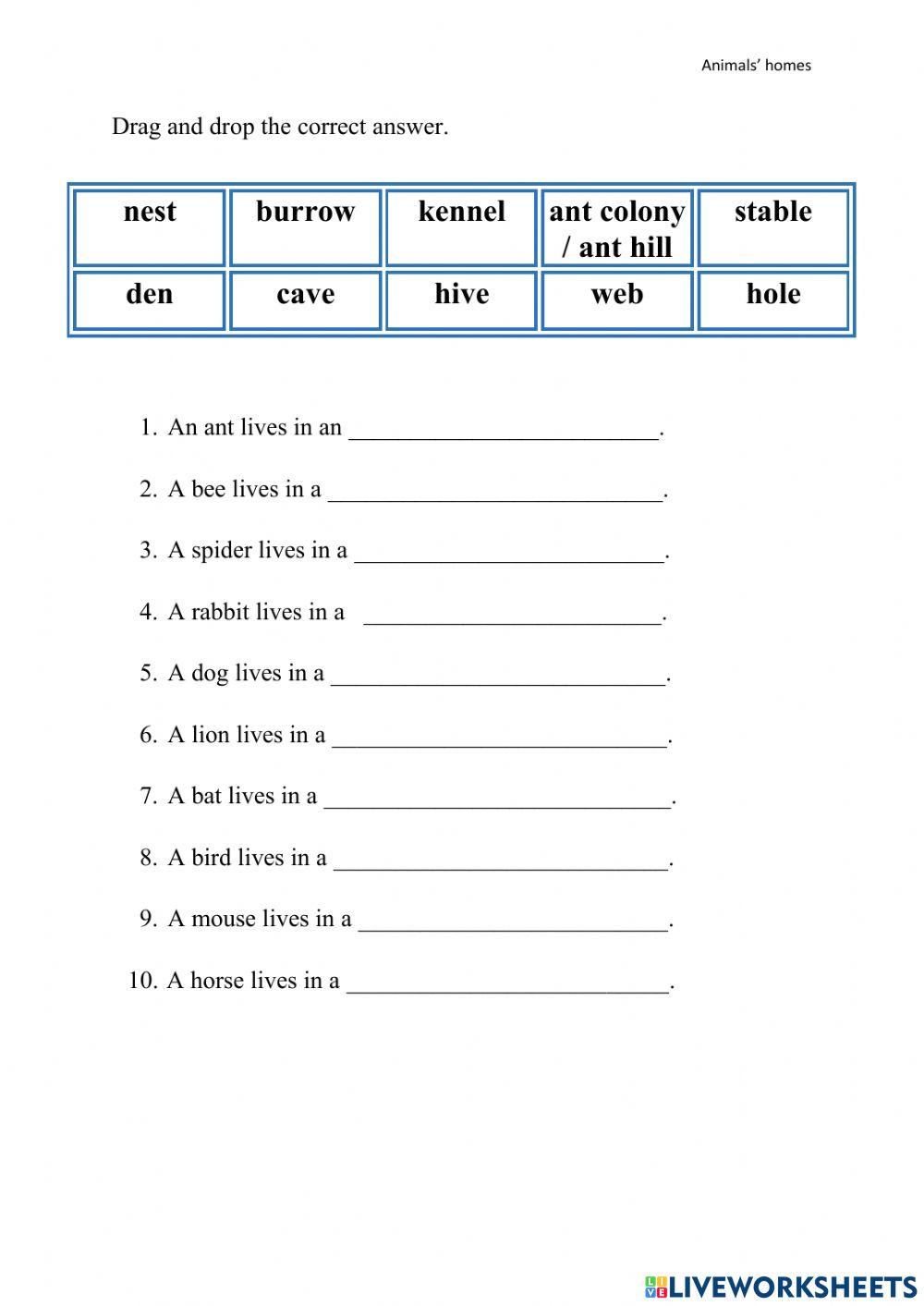 Animals and their homes