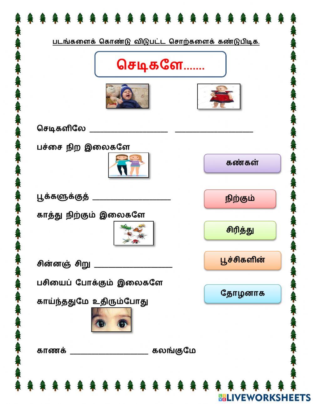 செடிகளிலே