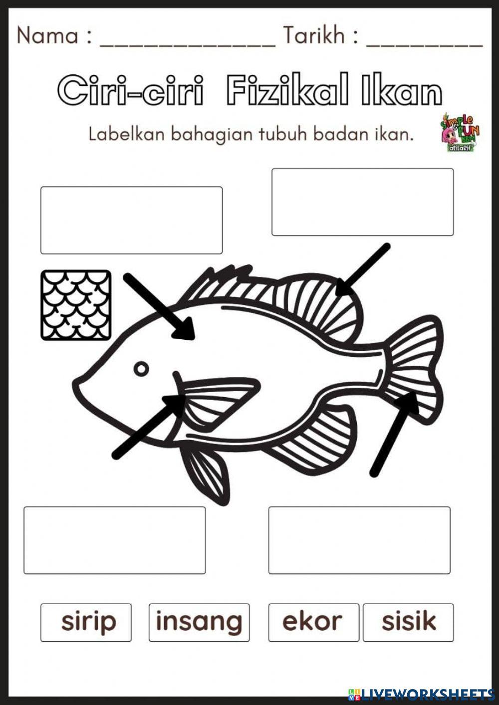 Ciri-ciri Fizikal Ikan