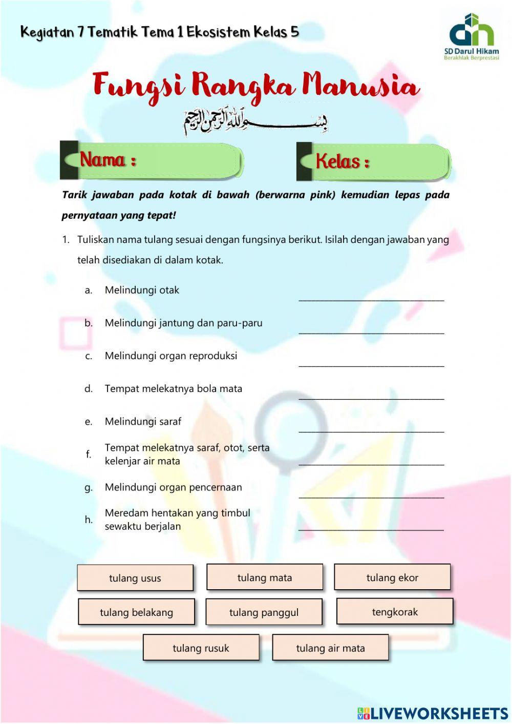 LKPD Fungsi Rangka Manusia