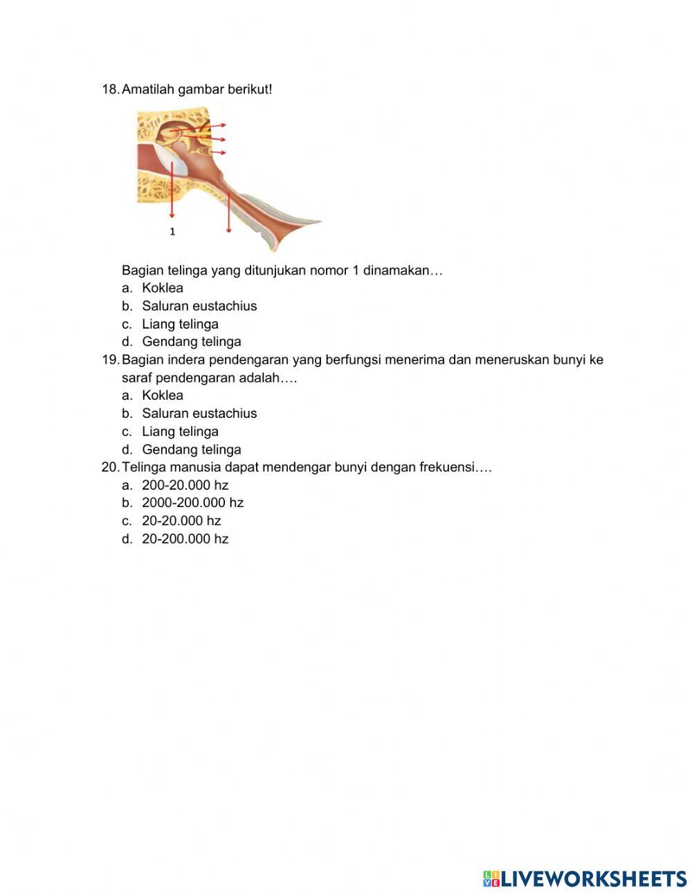 Ulangan Harian Tema 1 Subtema 2