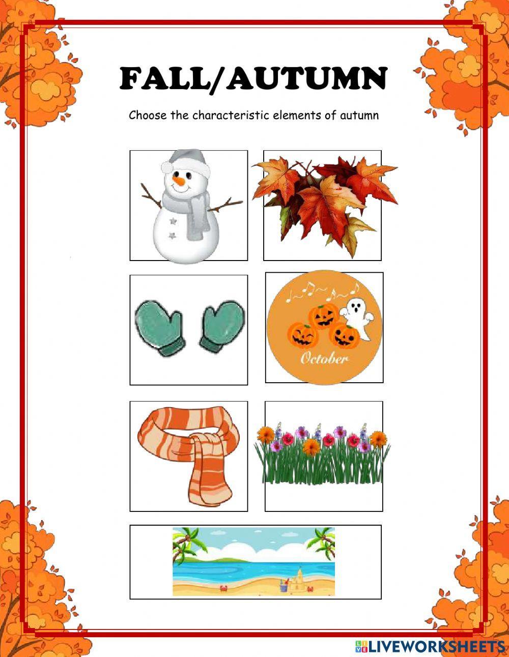 Fall-autumn - labor social - María José Romero (2-6 agosto)