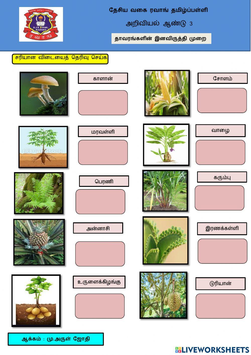 தாவரங்களின் இனவிருத்தி