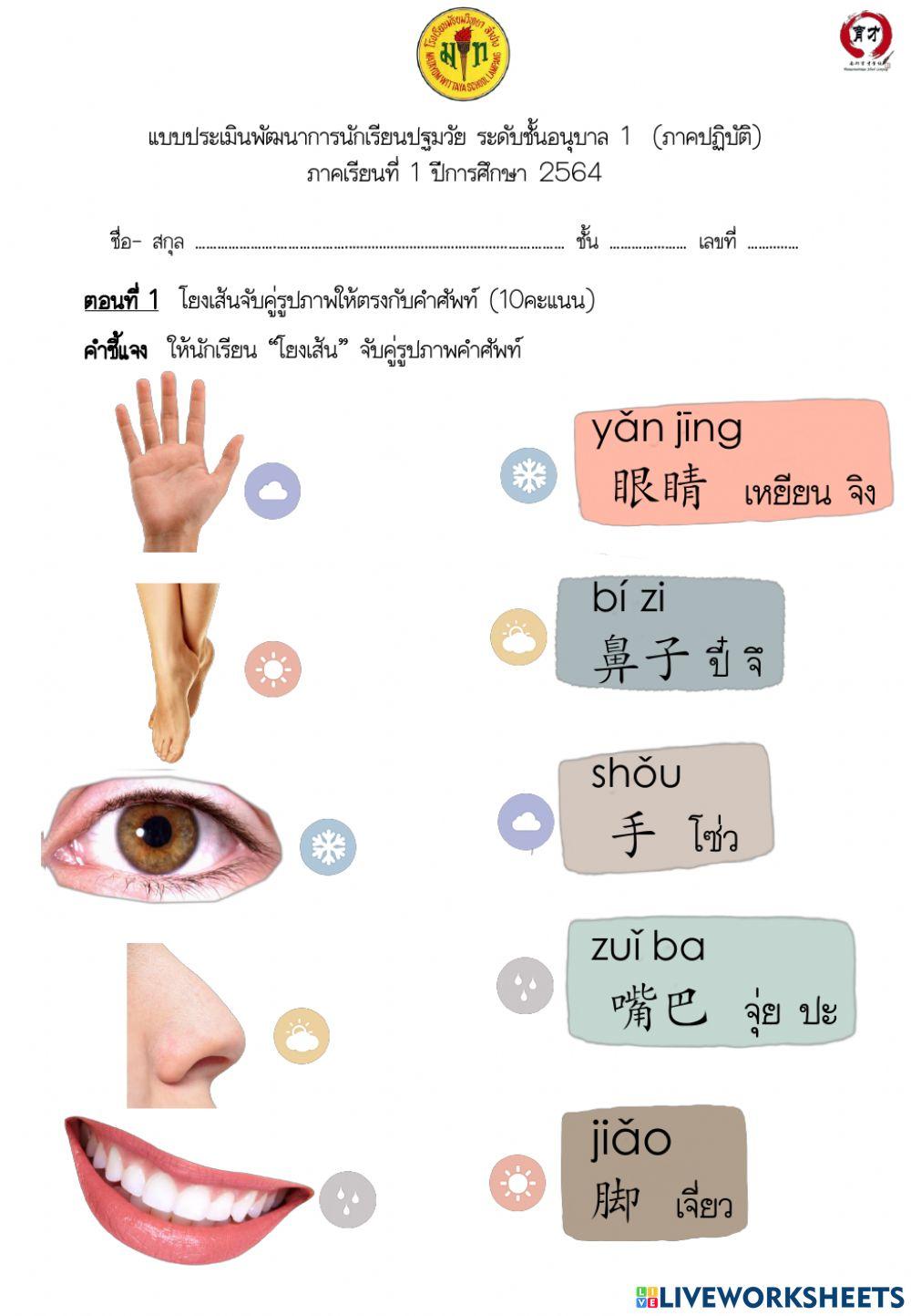 สอบกลางภาคเทอม 1 ปี 64