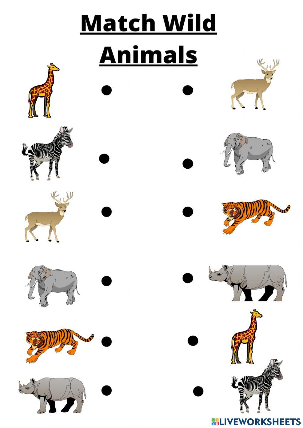 Match wild animal worksheet | Live Worksheets
