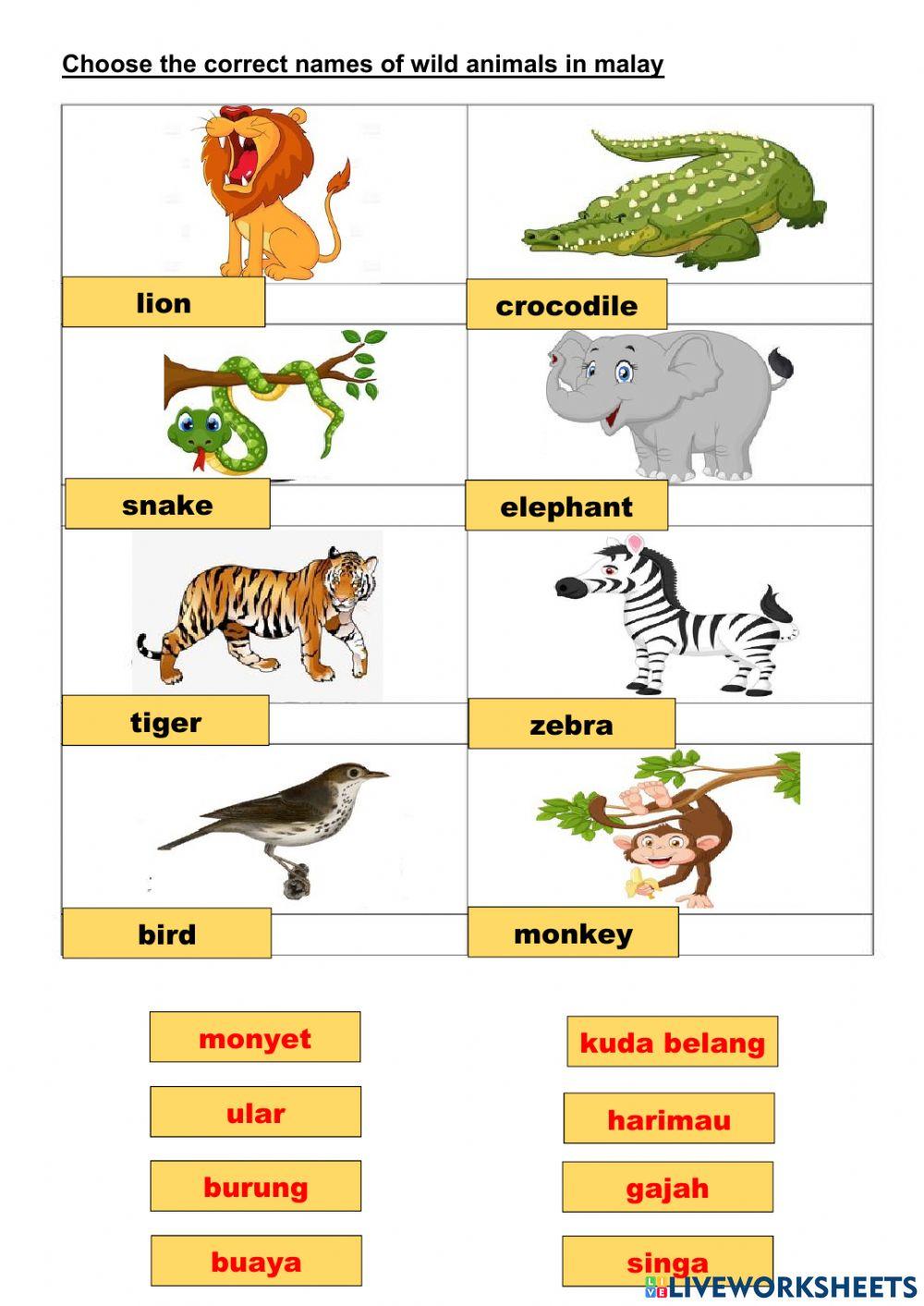 Wild animal in bahasa malaysia