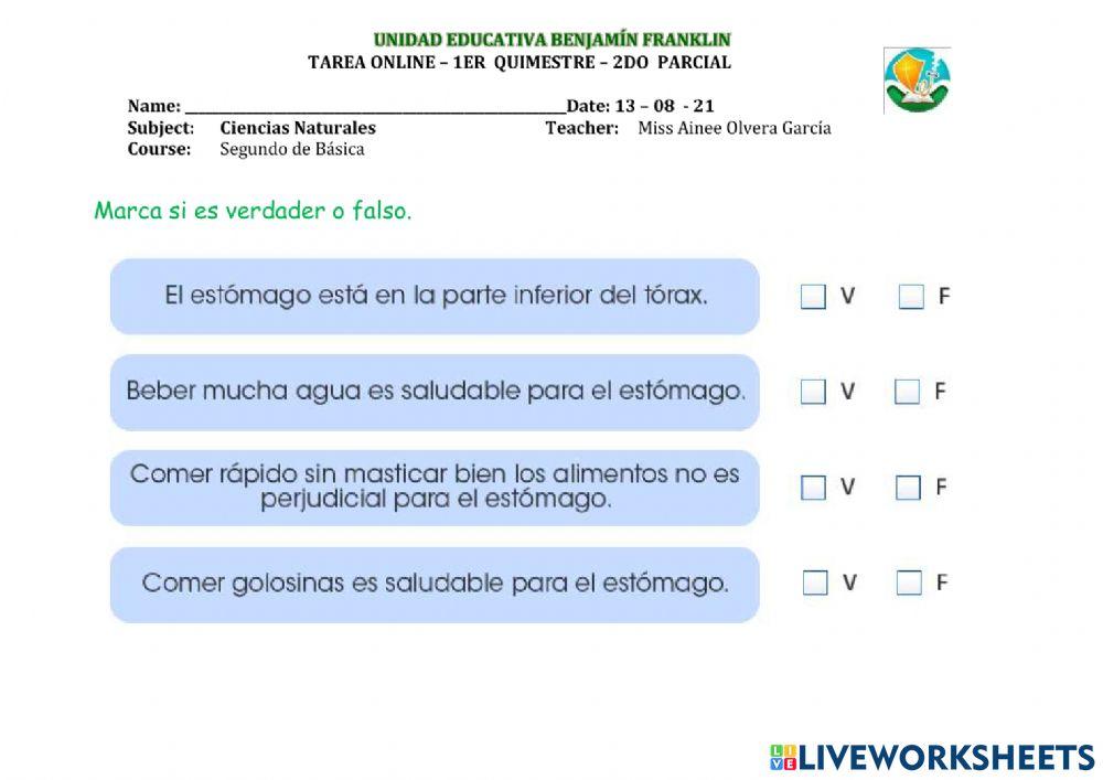 Tarea estomago