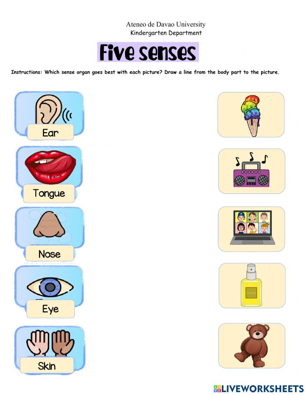 Five senses