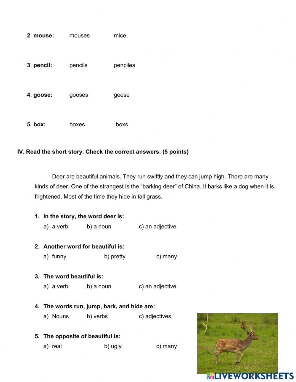 Diagnostic Grammar 3rd grade