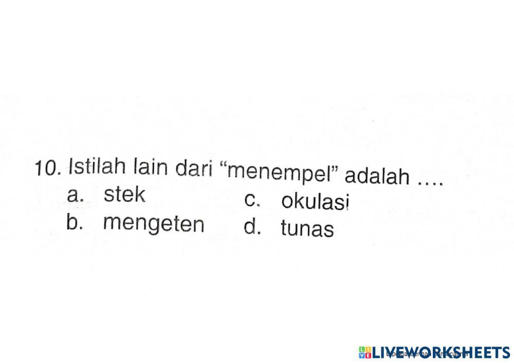 Bahasa indonesia Tema 1 ST4 Kelas 3