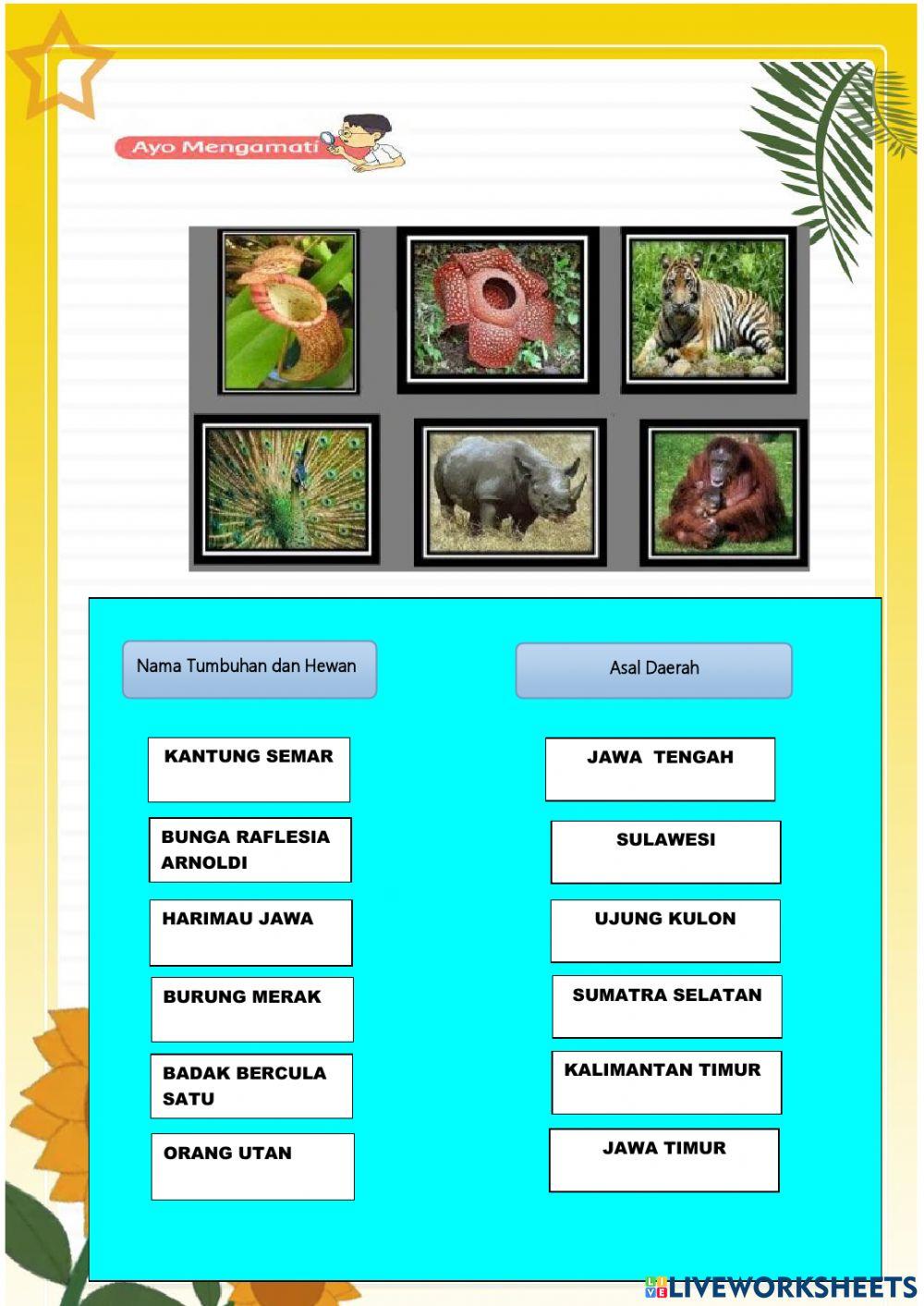 Tema 2 Subtema 3 Pembelajaran 3