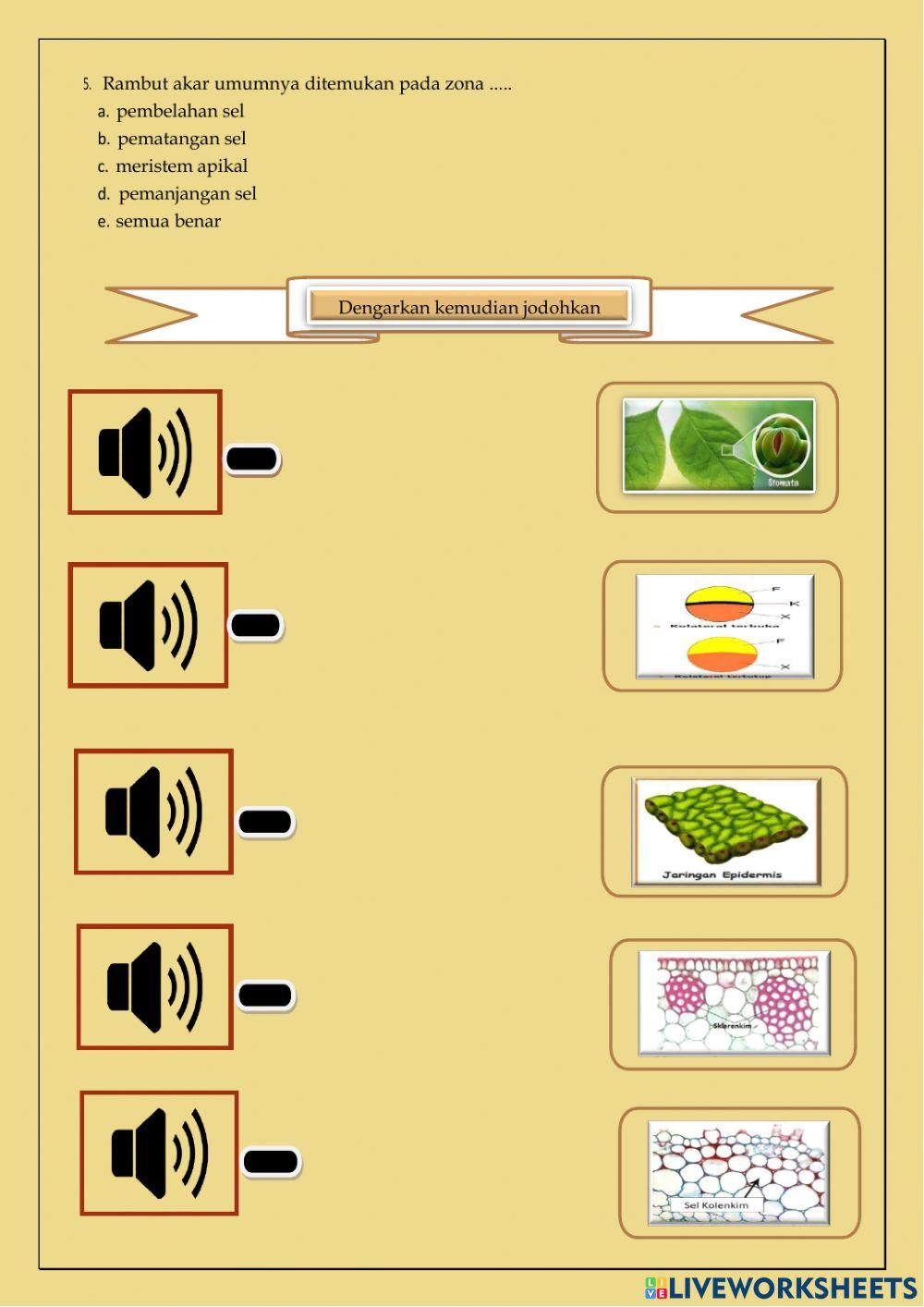 Jaringan tumbuhan & hewan