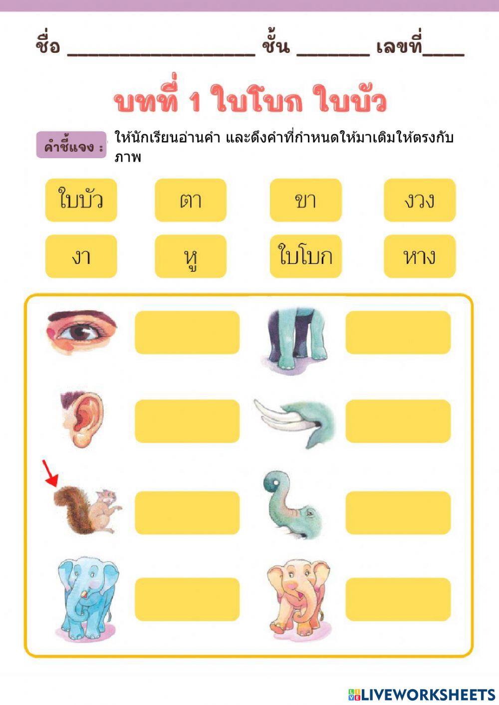 ใบโบก ใบบัว