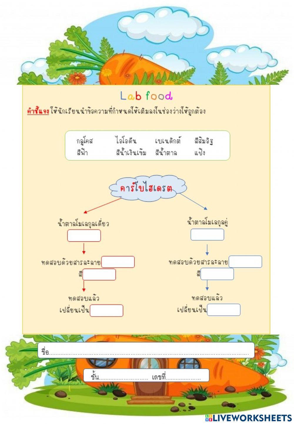 การทดสอบคาร์โบไฮเดรต ป.6-2