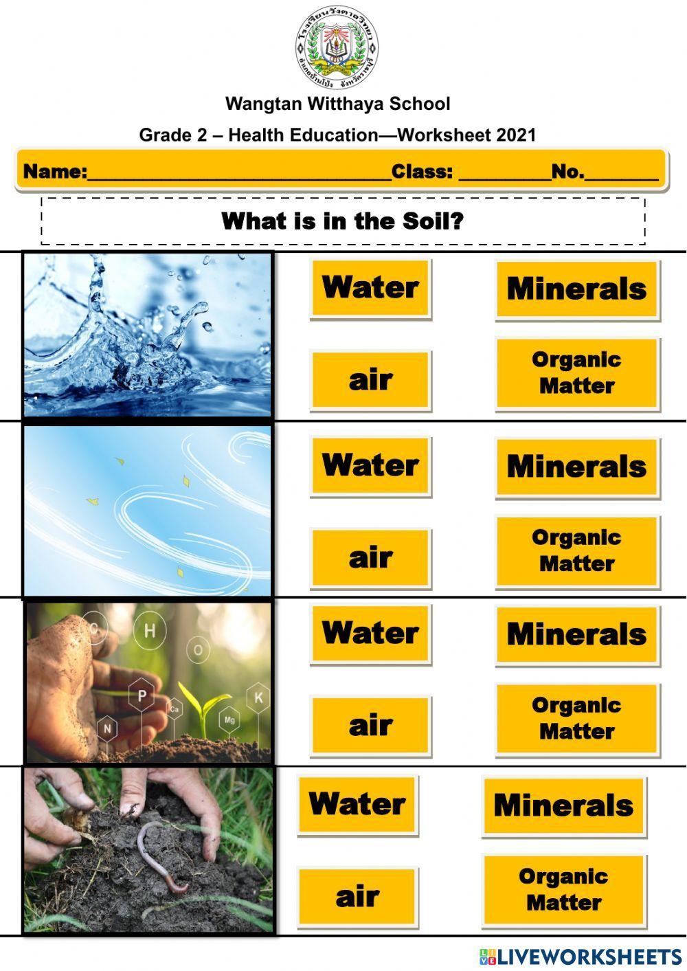 What is in the soil?