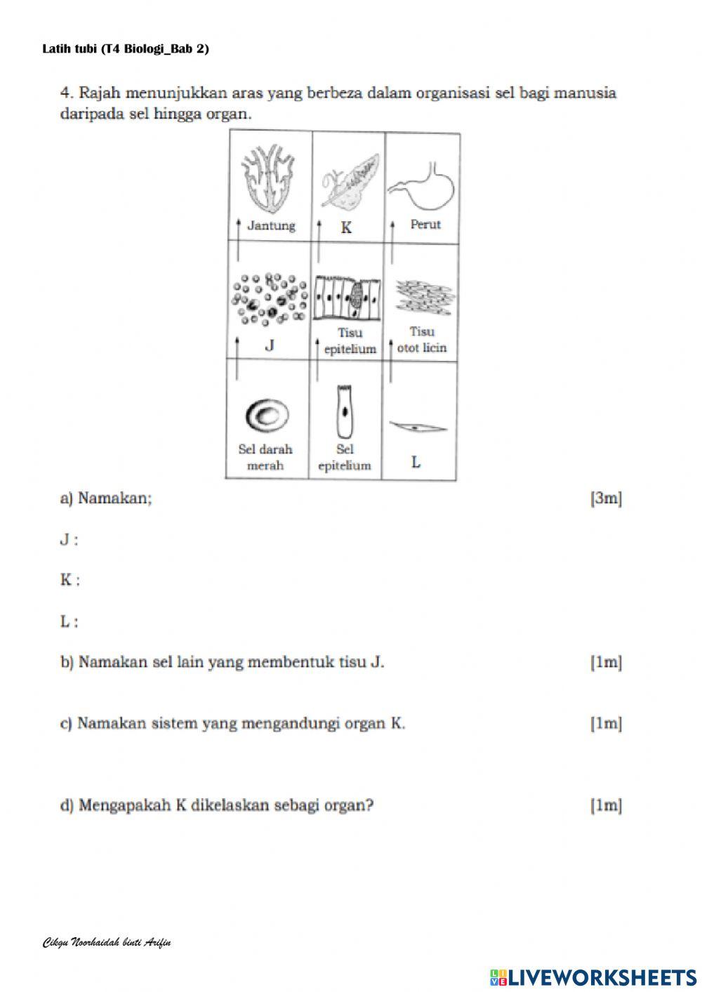 Latih tubi bab 2 t4 biologi (4,5,6)
