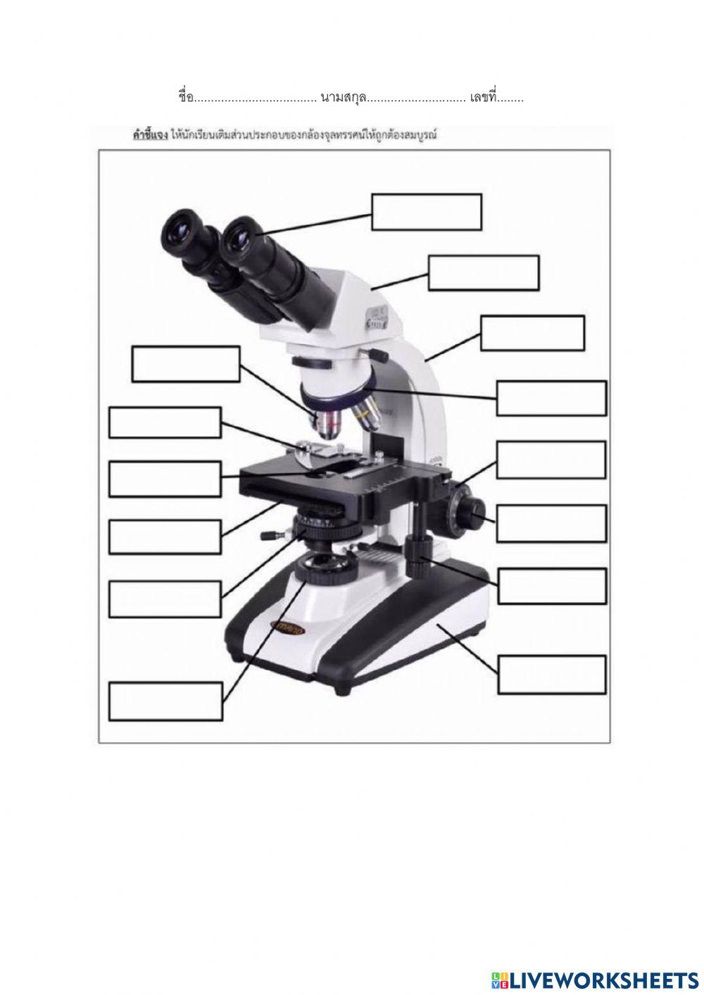 แบบฝึกหัดส่วนประกอบของกล้องจุลทรรศน์
