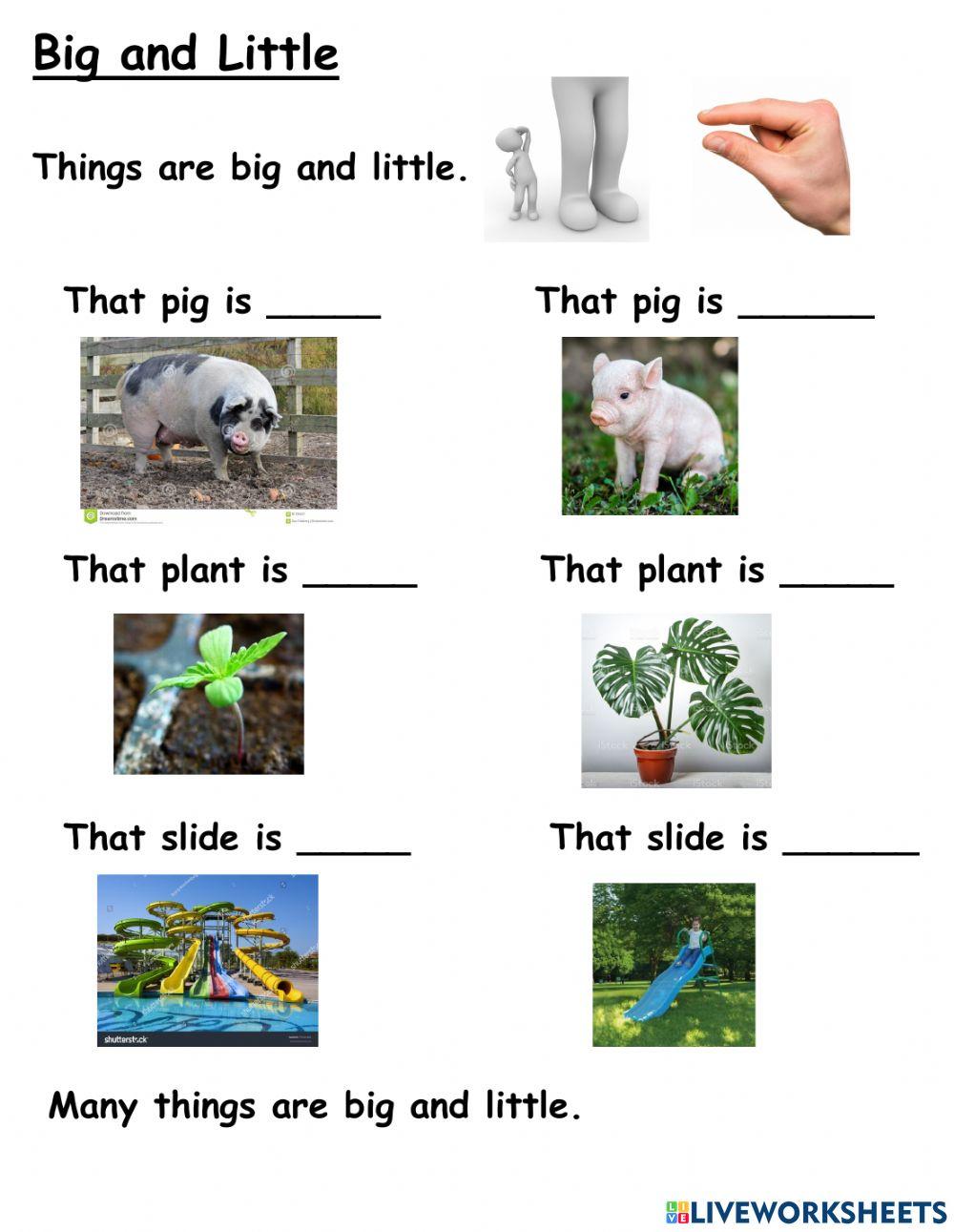 1327255 | Big and little | Toby Dharan Gibson