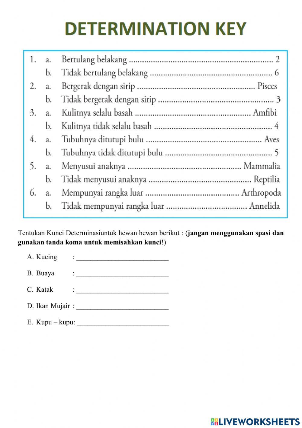 Takson dan Kunci Determinasi
