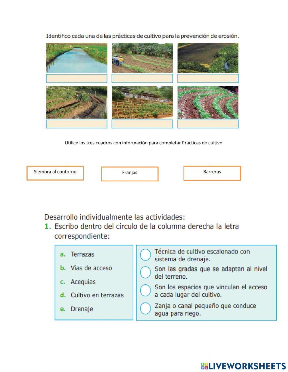 Examen III P CCNN 4° 2021