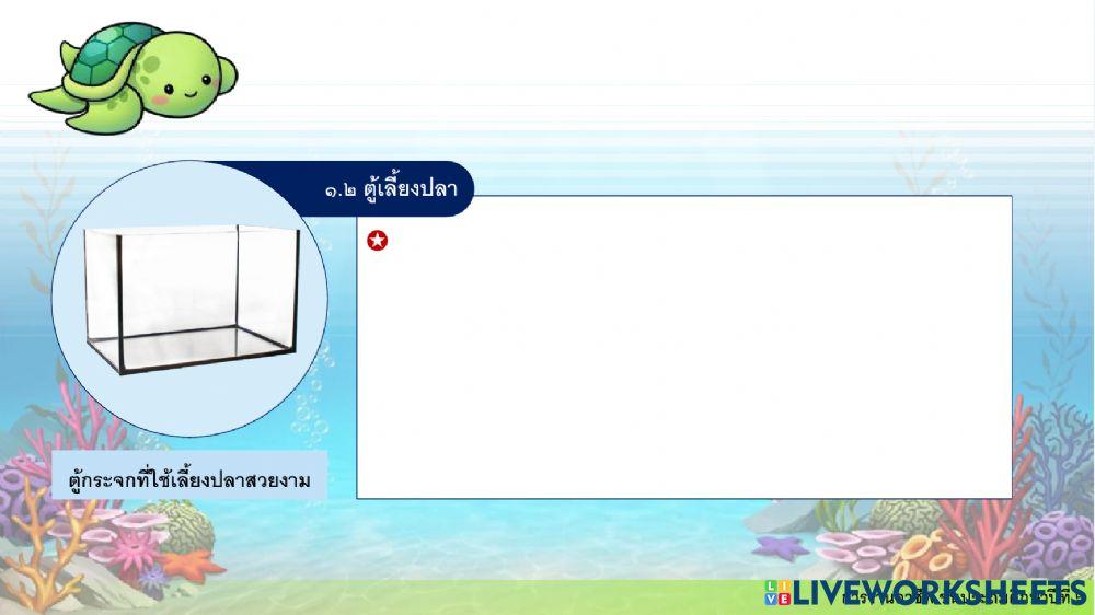 การงานอาชีพ ป.6 ครั้งที่ 6