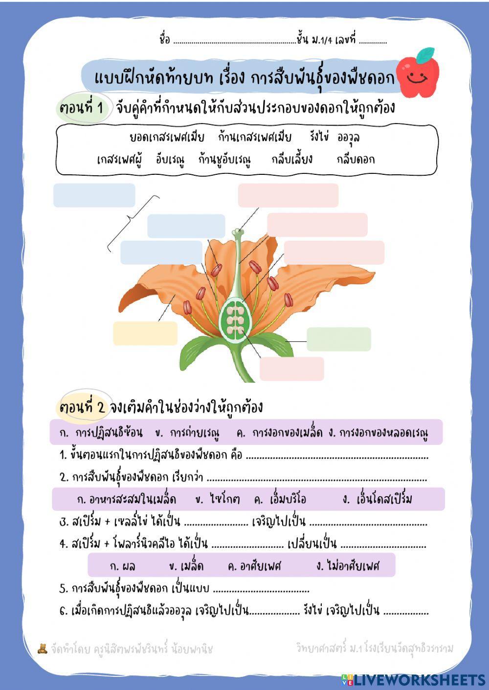 การสืบพันธ์แบบอาศัยเพศ