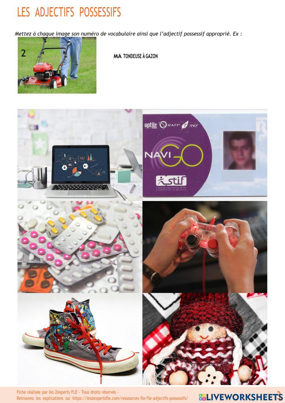 Adjectifs possessifs