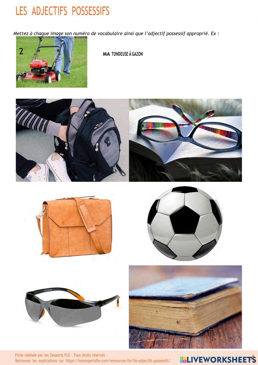 Adjectifs possessifs