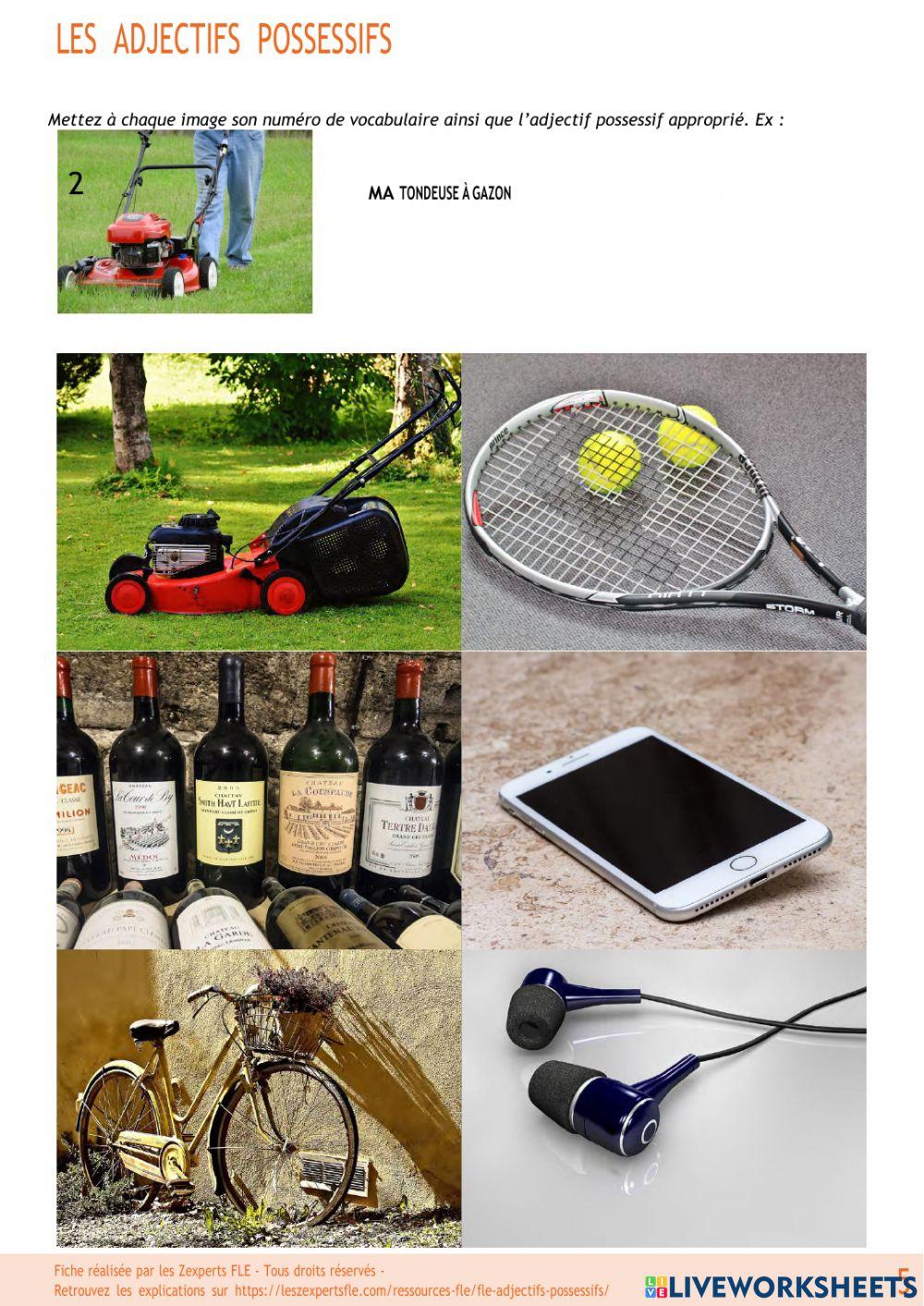 Adjectifs possessifs