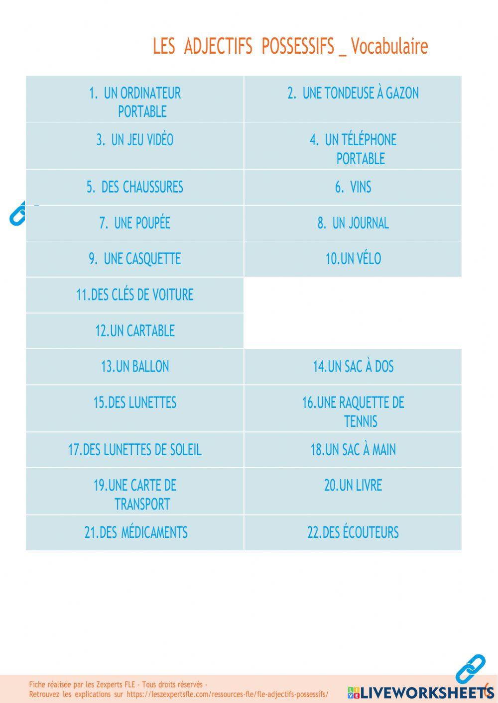 Adjectifs possessifs