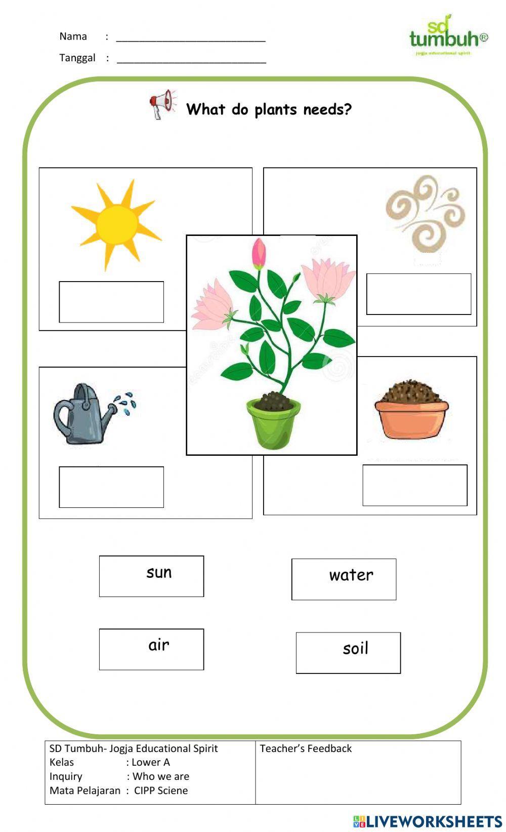 CIPP Science-Plants-Multiple Choice