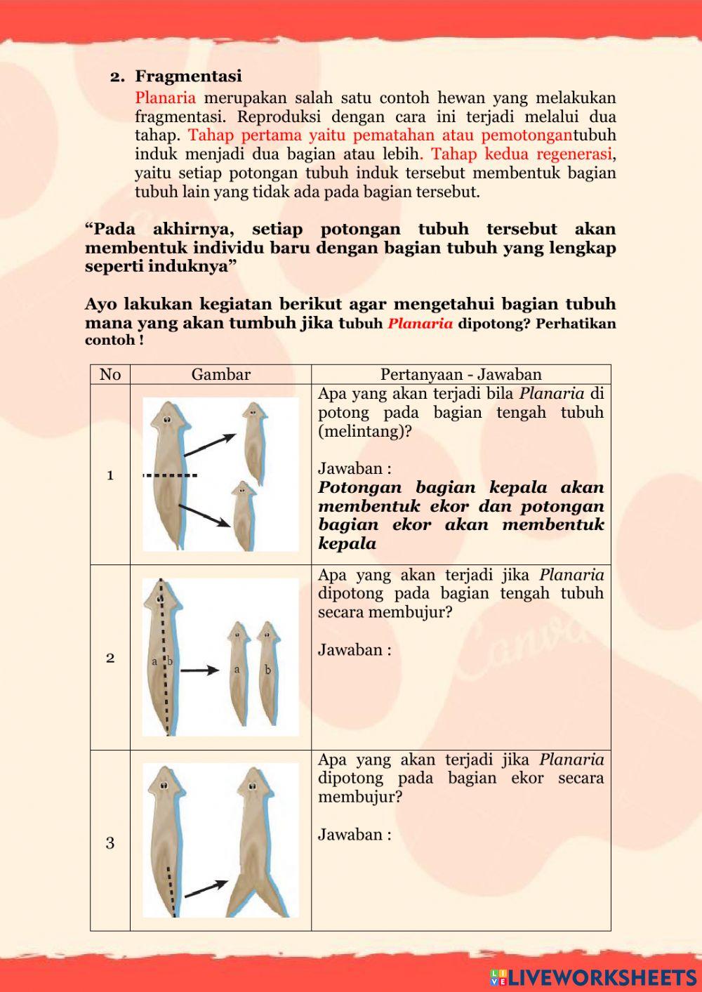 LKPD Reproduksi Hewan