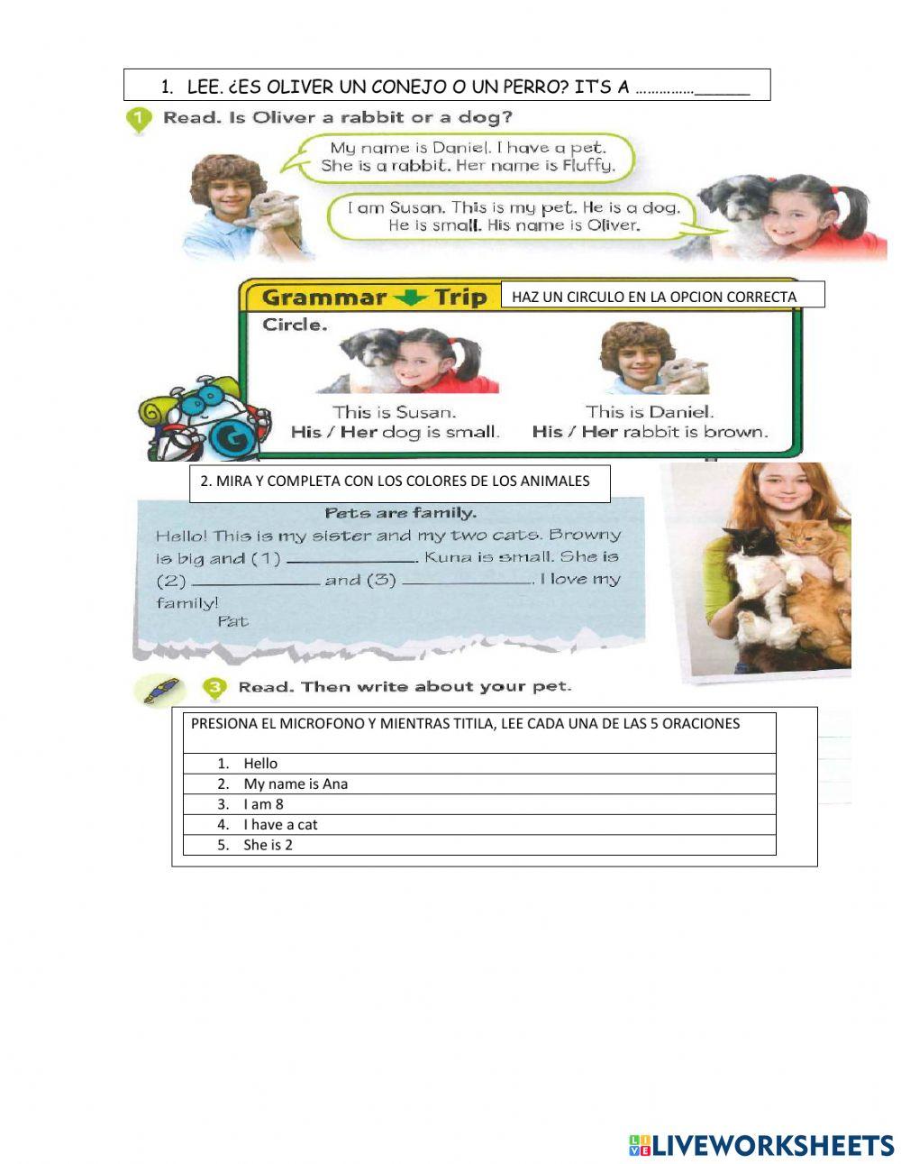 His - her 1328419 | Fabiana | Live Worksheets