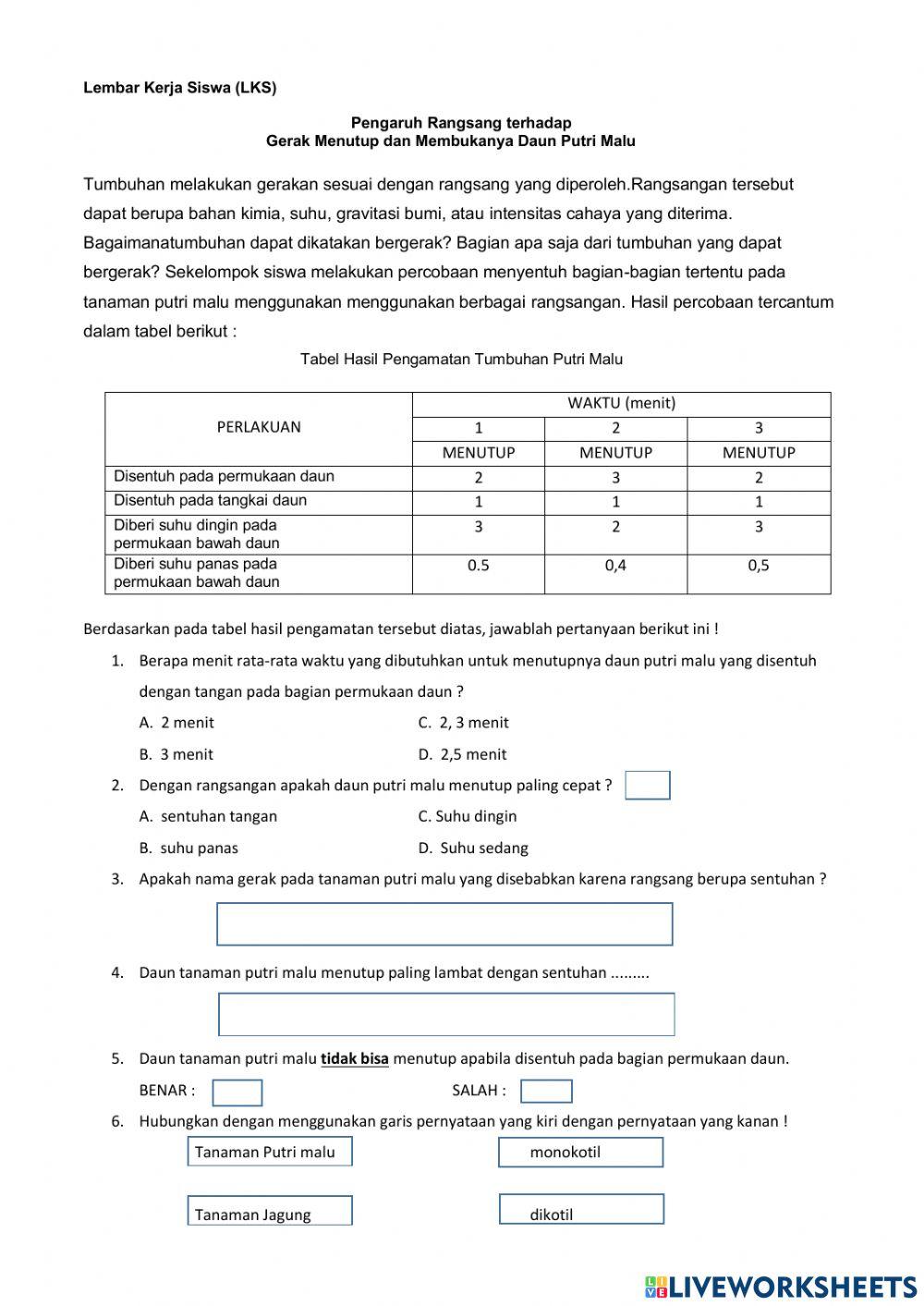 Gerak Tanaman Putri Malu