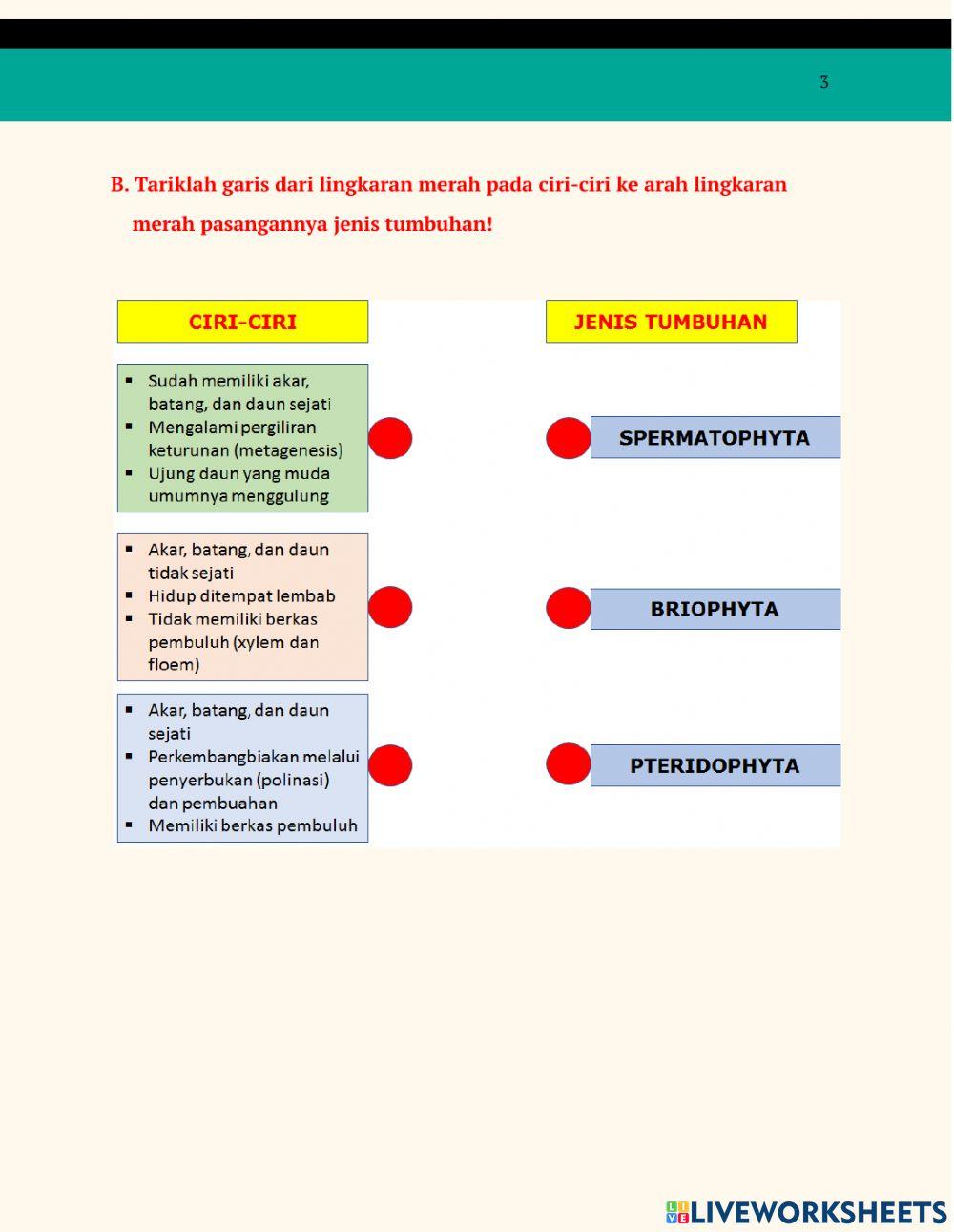 Klasifikasi Tumbuhan