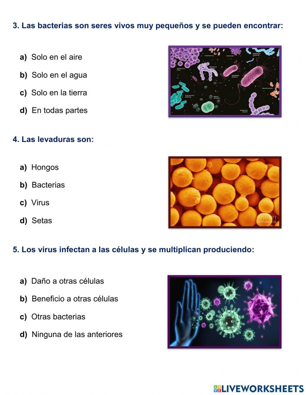 Guía Ciencias Naturales
