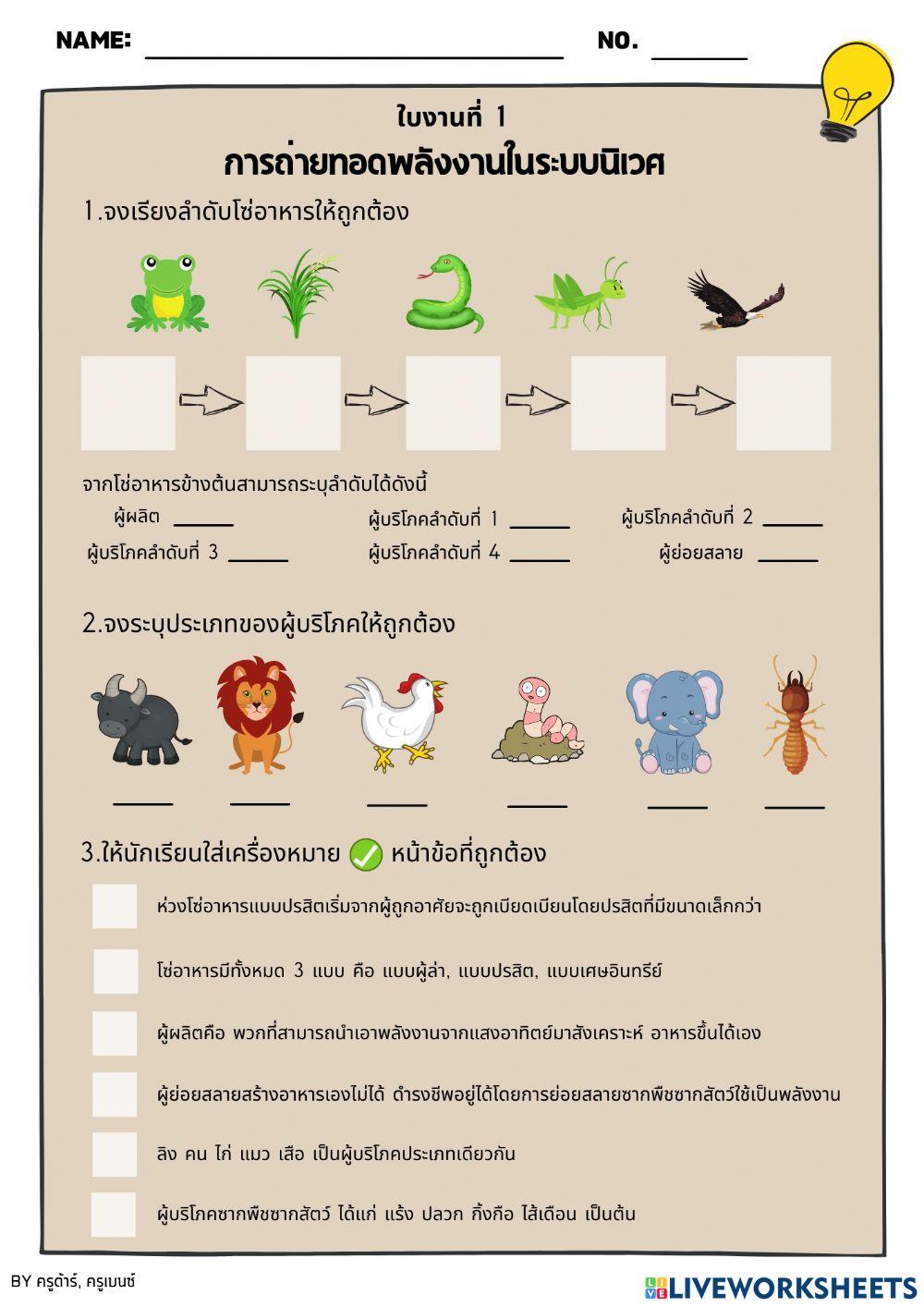 ใบงานที่1 การถ่ายทอดพลังงานในระบบนิเวศ