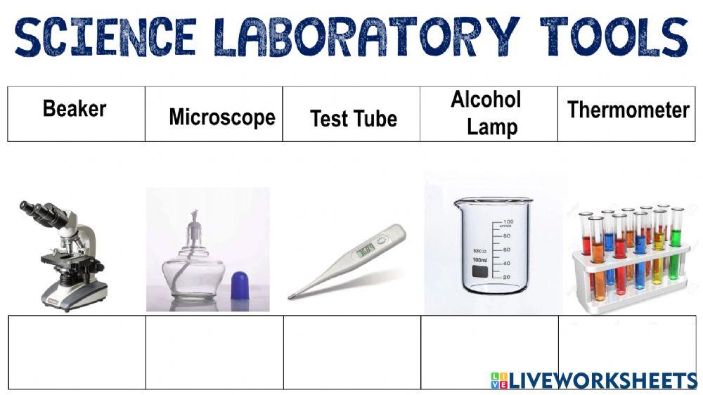 What is Science? worksheet | Live Worksheets