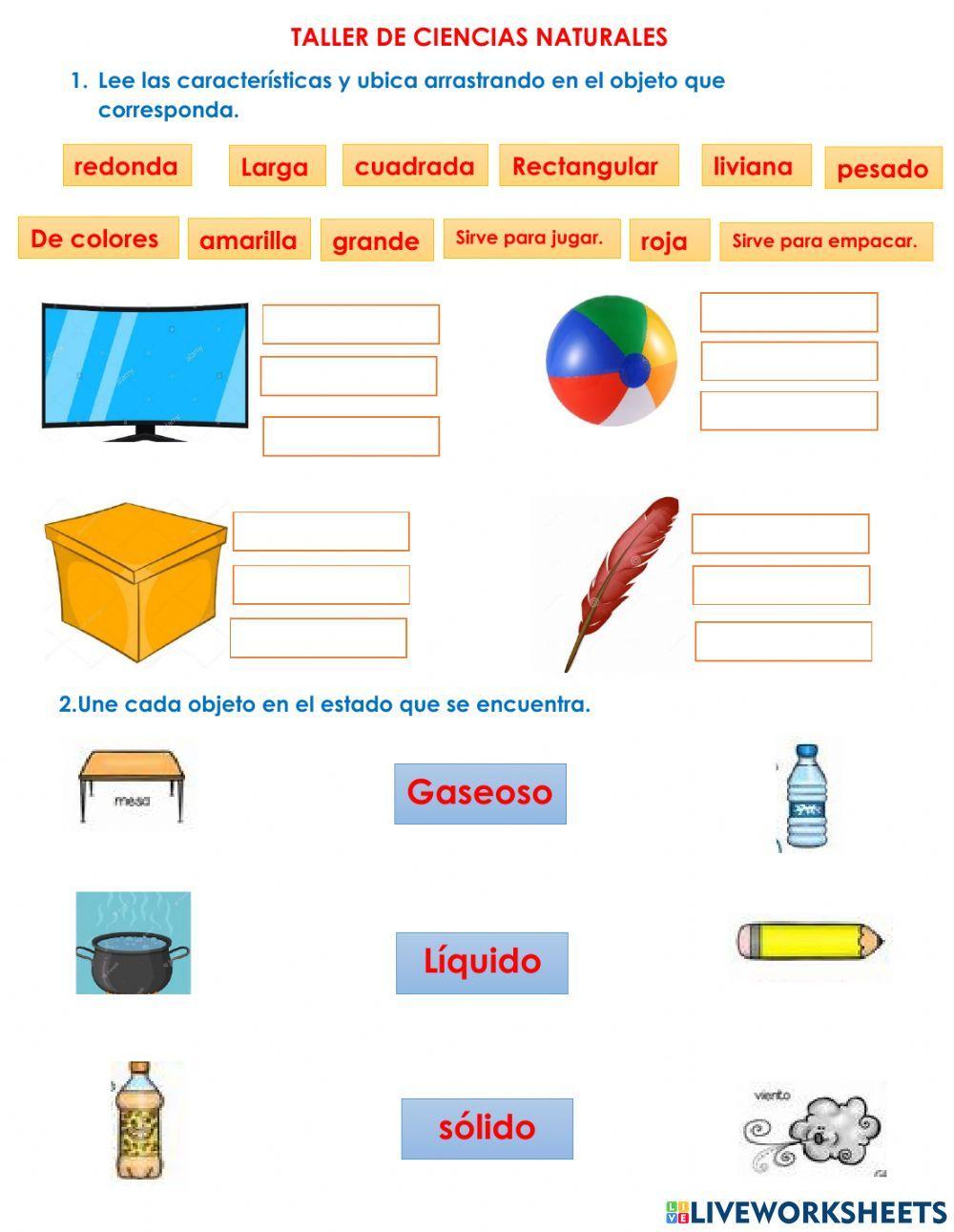 Taller ciencias tercer