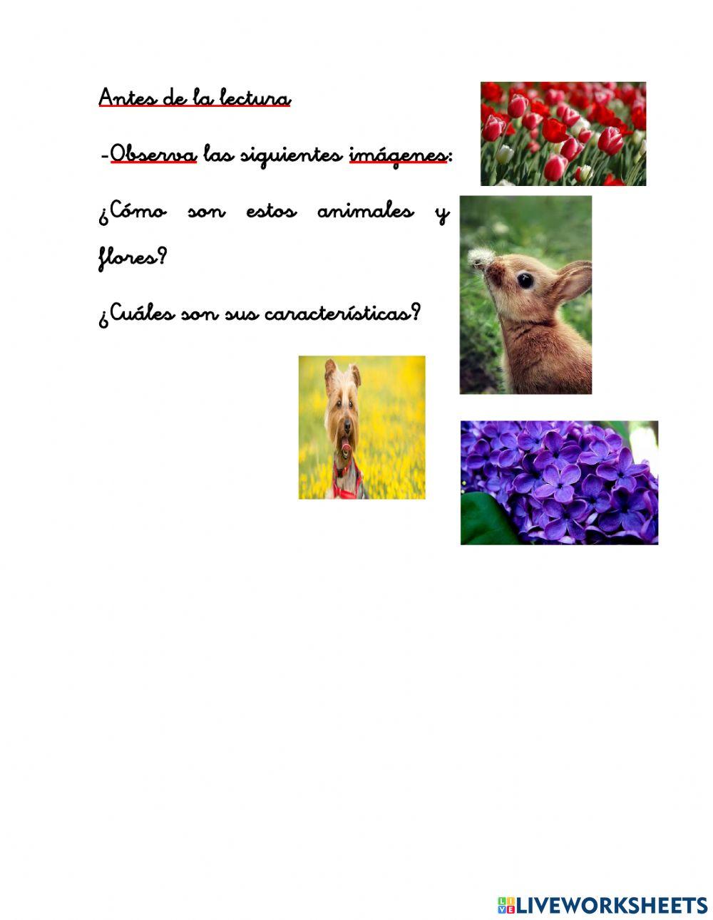 Actividad 15 2 A personalizado