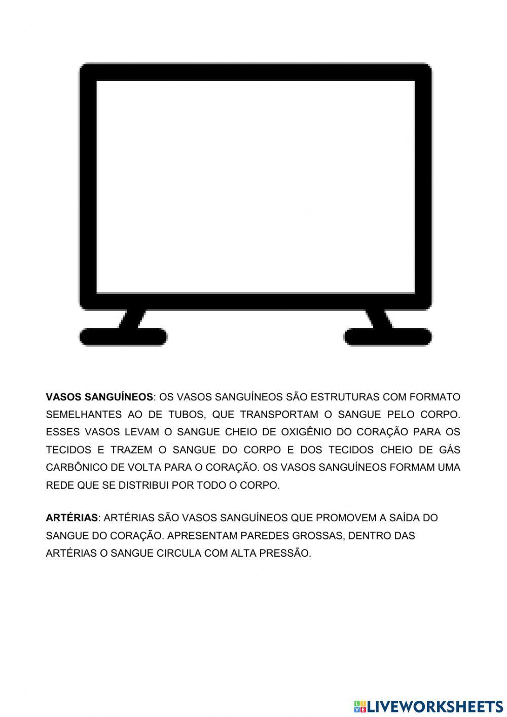 Sistema cardiovascular