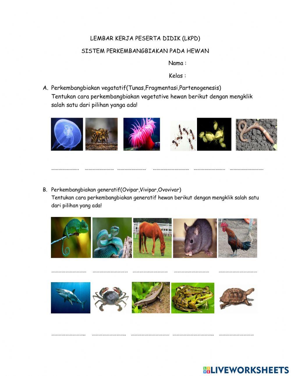 Sistem Reproduksi pada hewan