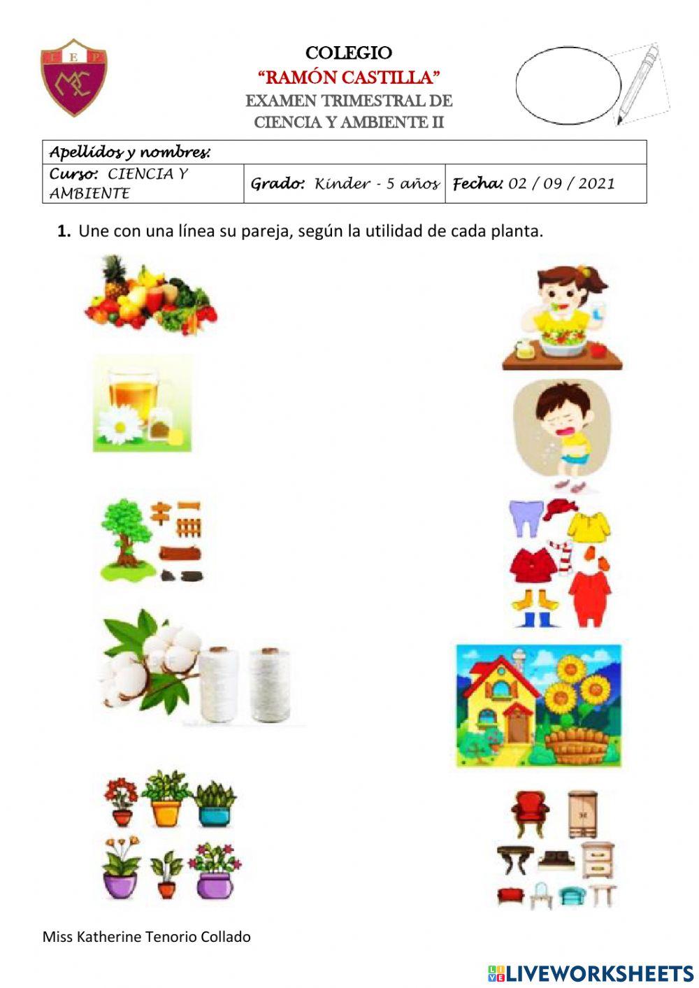 EXAMEN CIENCIA Y AMBIENTE KINDER - 2do Trimestre