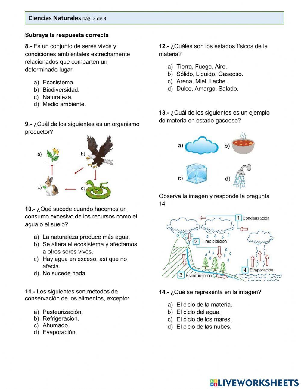 Evaluación diagnóstica