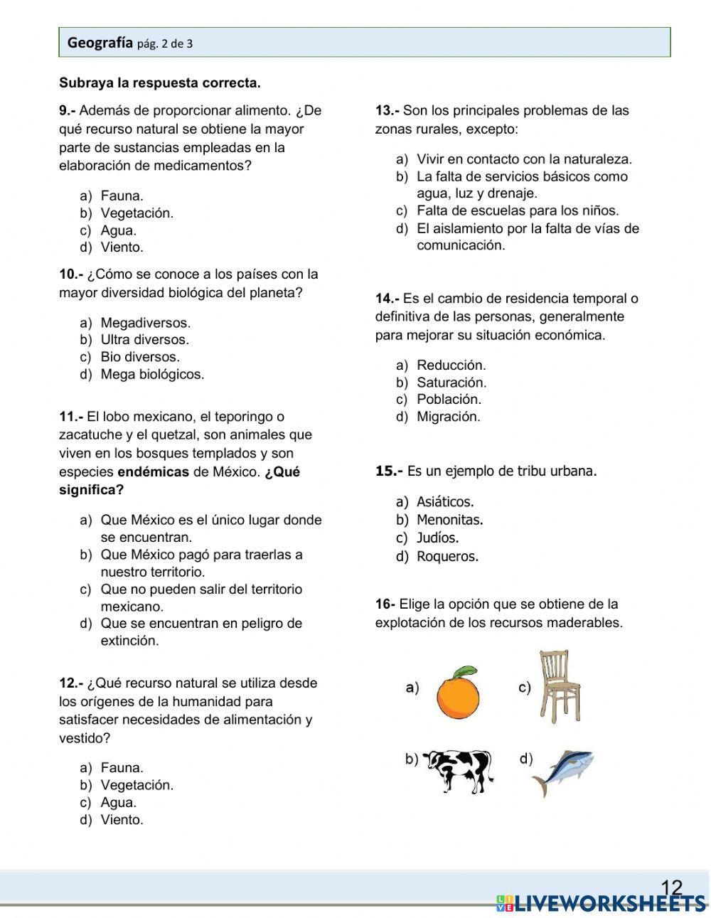 Evaluación diagnóstica