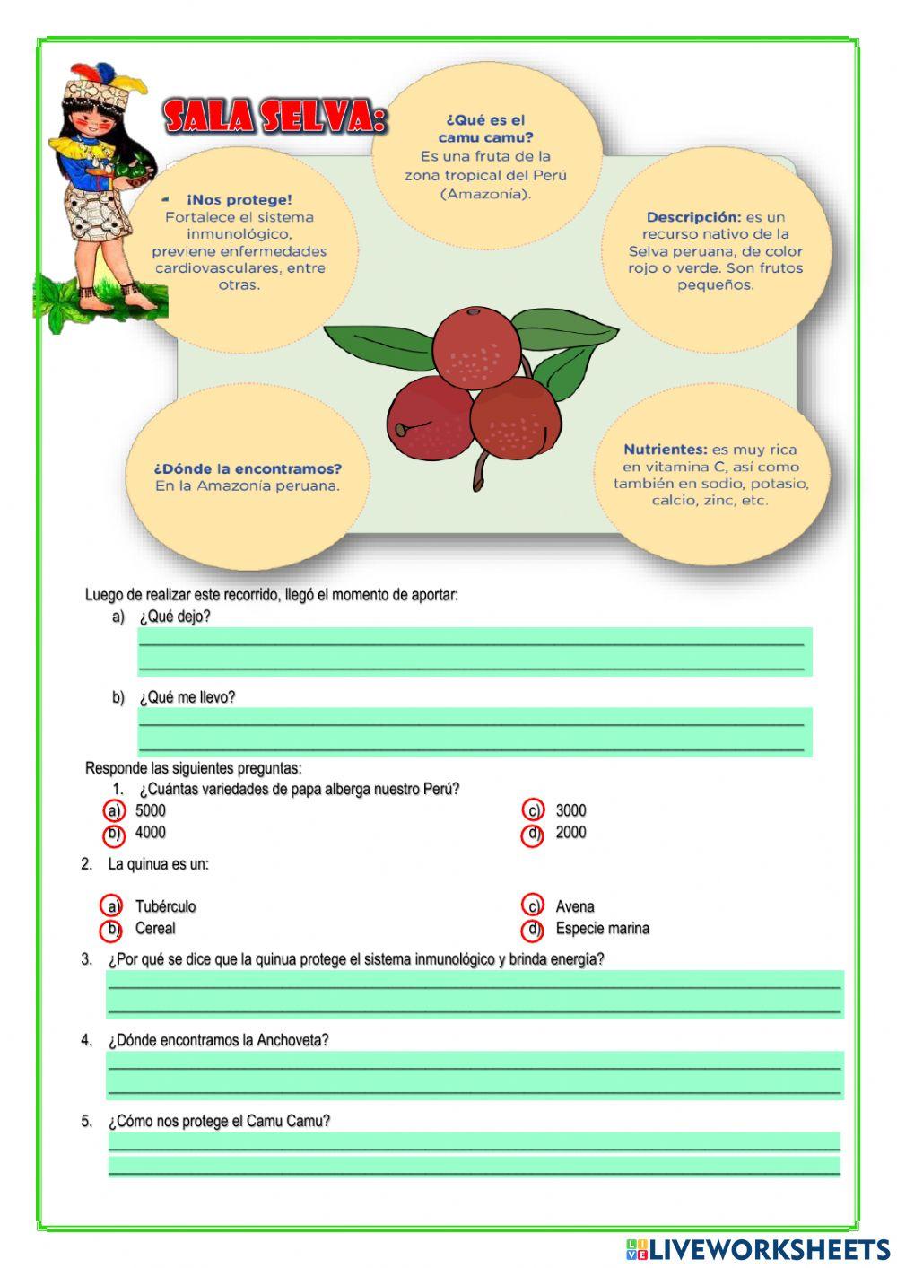 Alimentos del Perú para tu salud