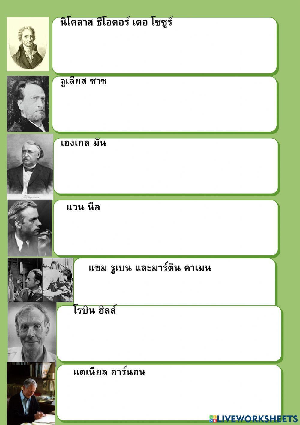 ใบงานที่ 3.1 การทดลองการสังเคราะห์แสง