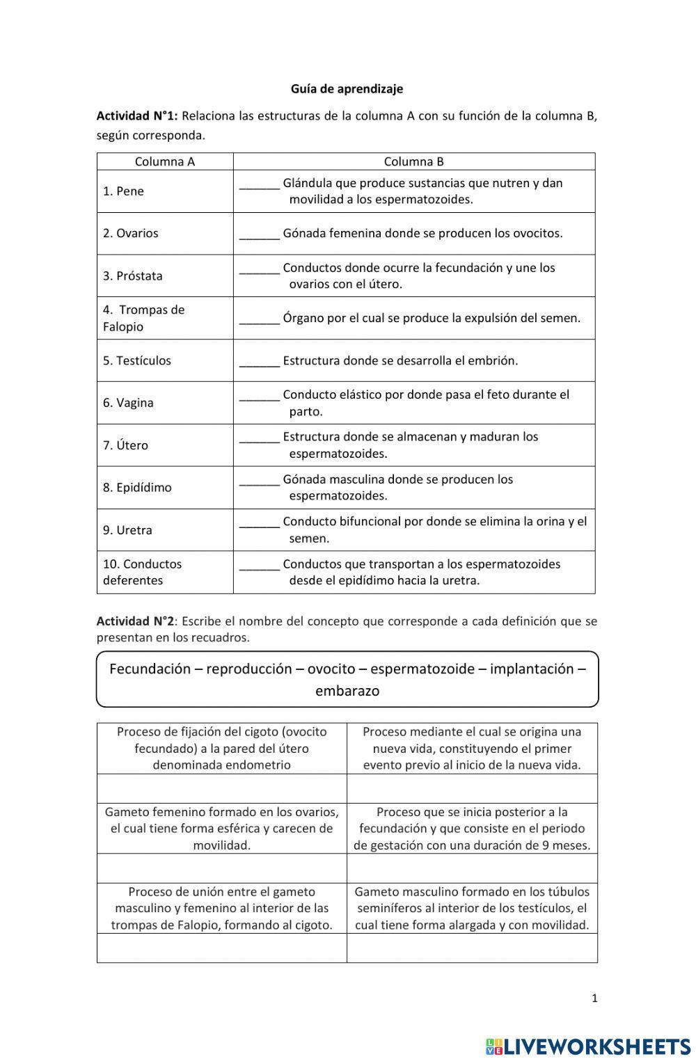 Sistemas reproductores