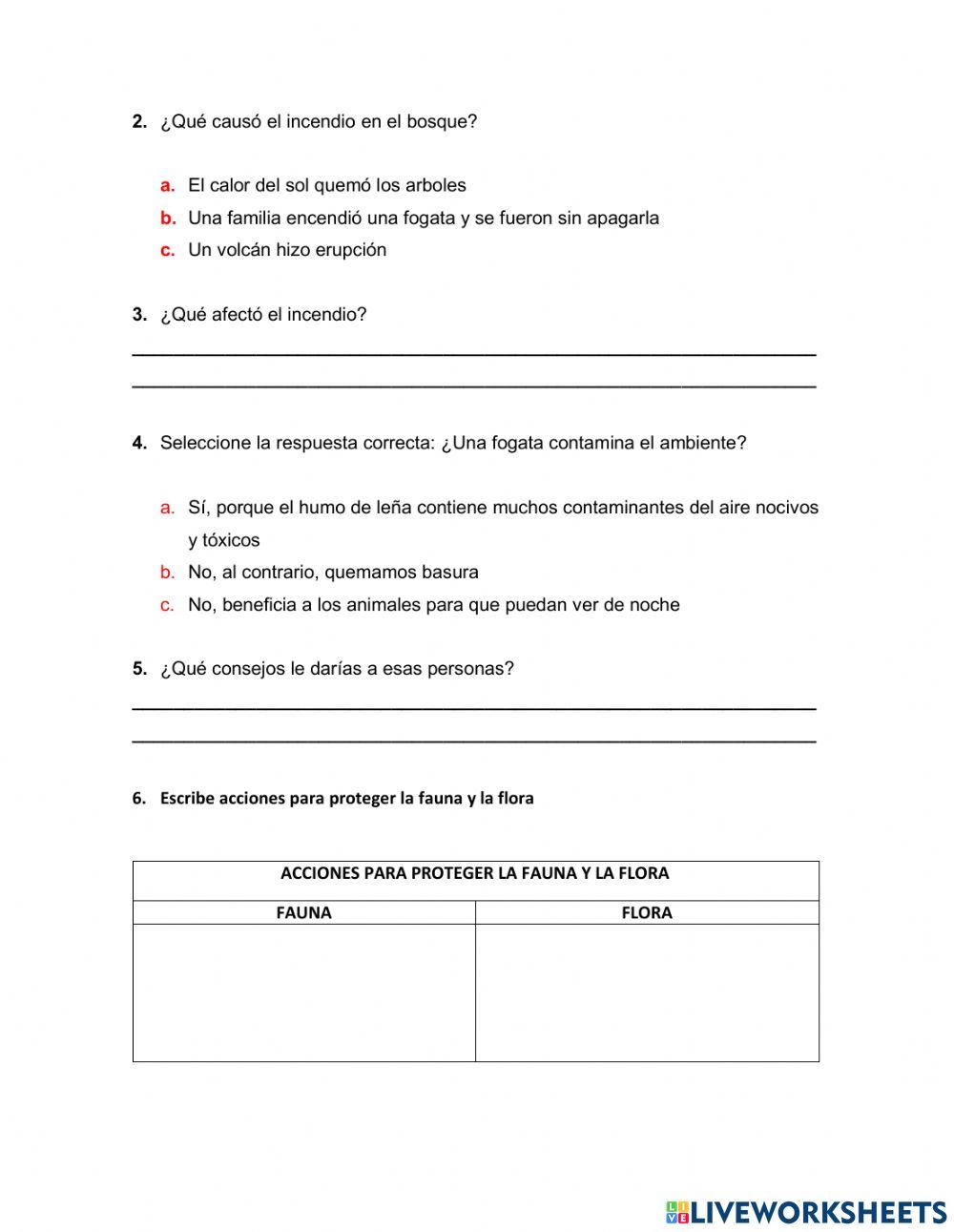 Bimestral catedra 2° III periodo