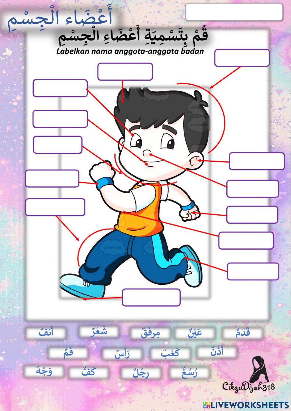 ARABIC Year2 : UNIT 5 - ANGGOTA BADAN (Latihan 1-2)